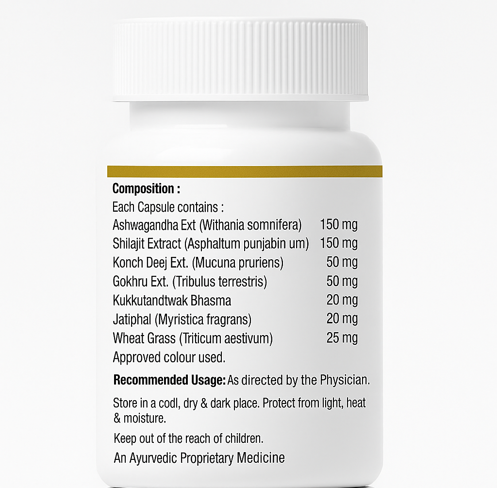 Aryaveer X Gold Capsules β Shilajit & Herbal Power for Men