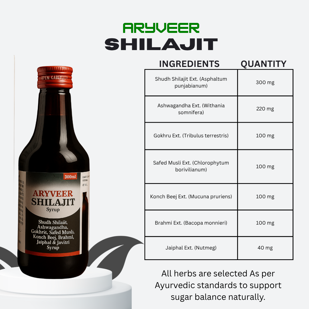 Aryaveer Shilajit Syrup – Natural Energy Booster for Men